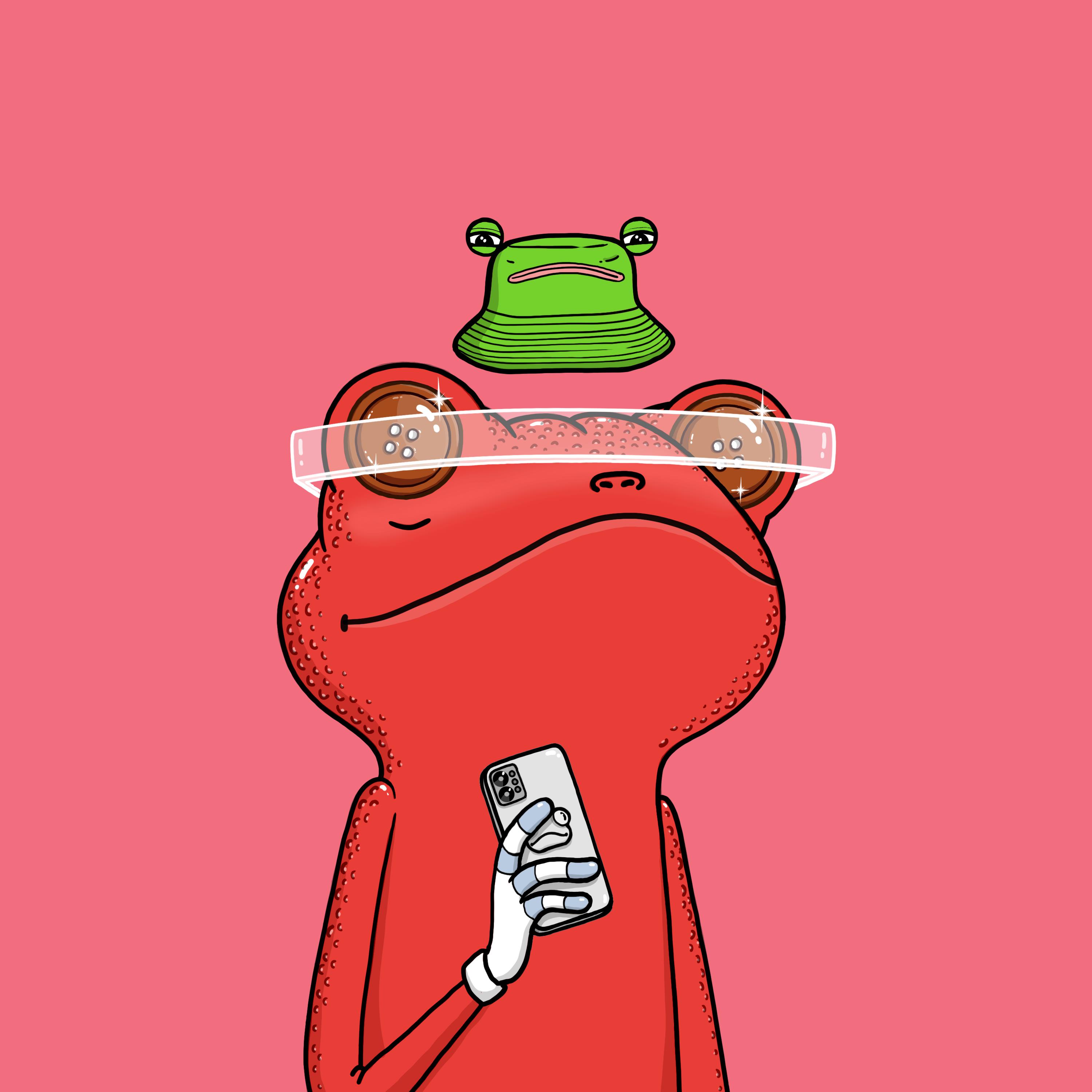 Zen Frogs