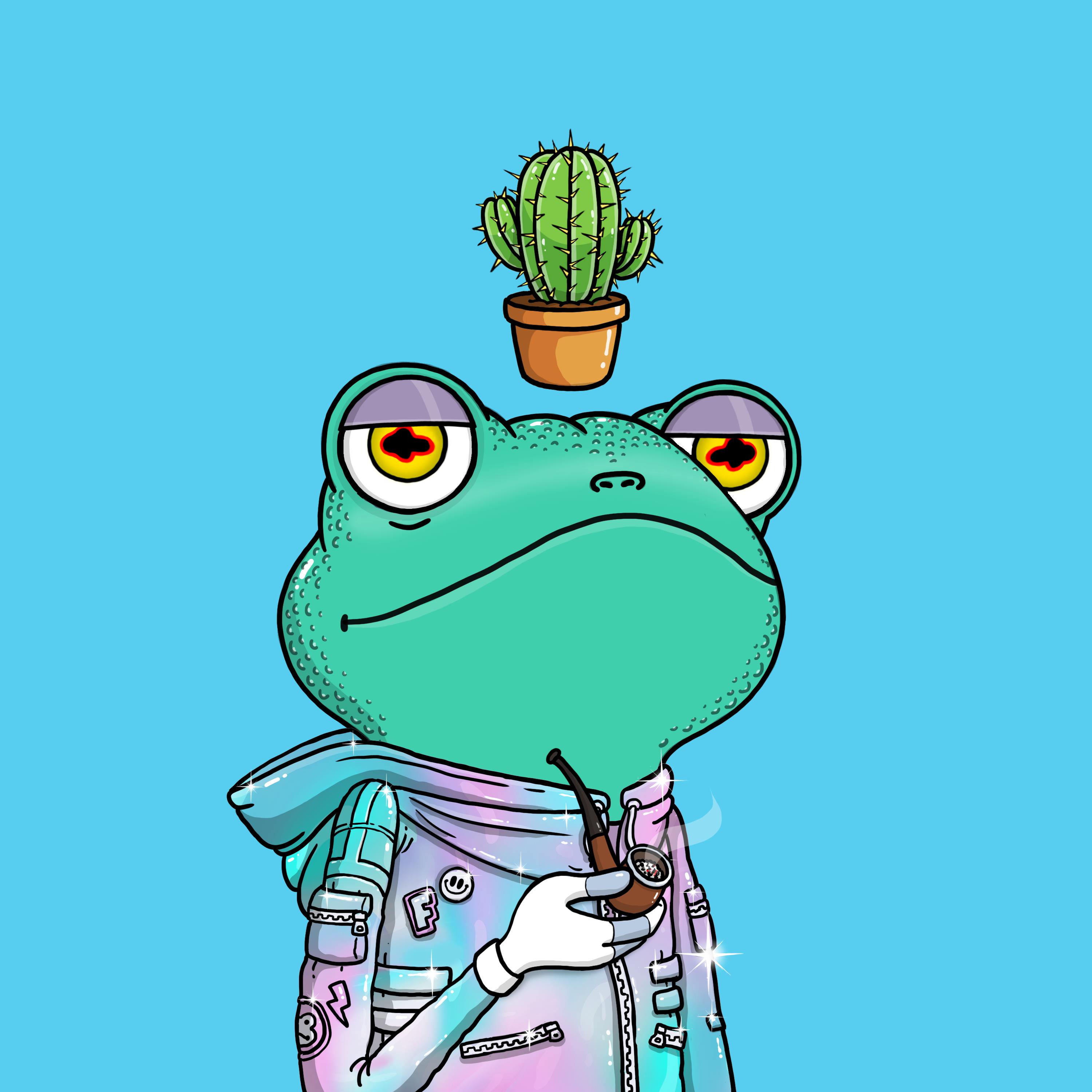 Zen Frogs