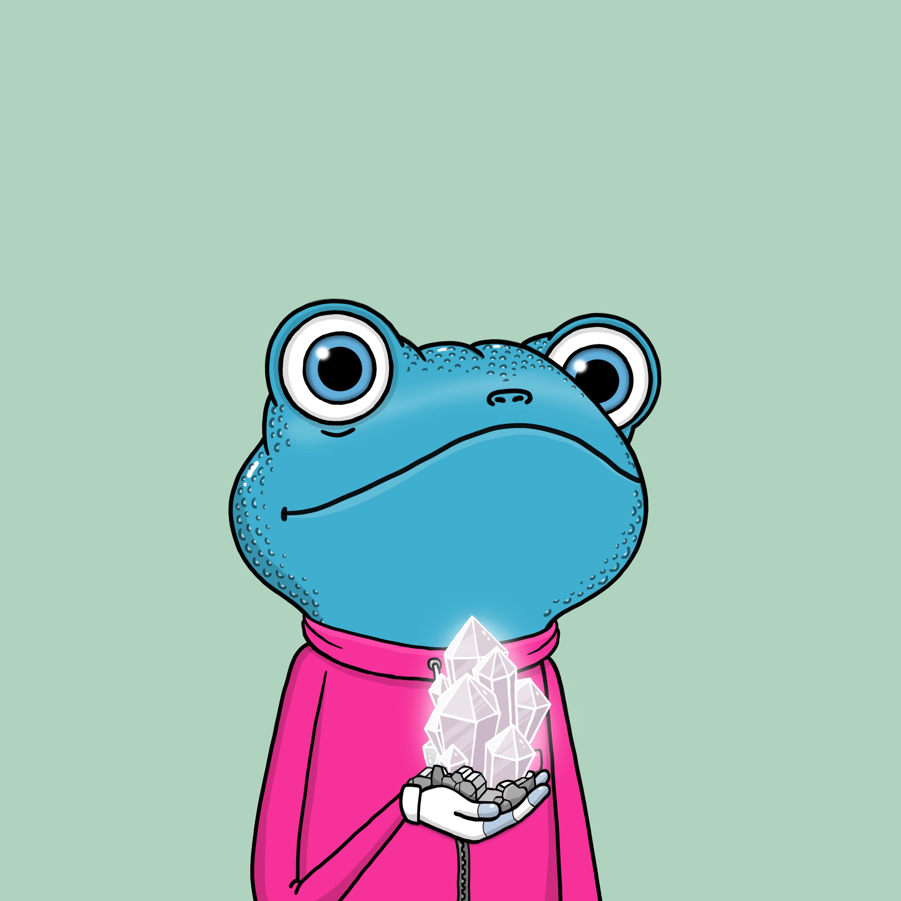 Zen Frogs