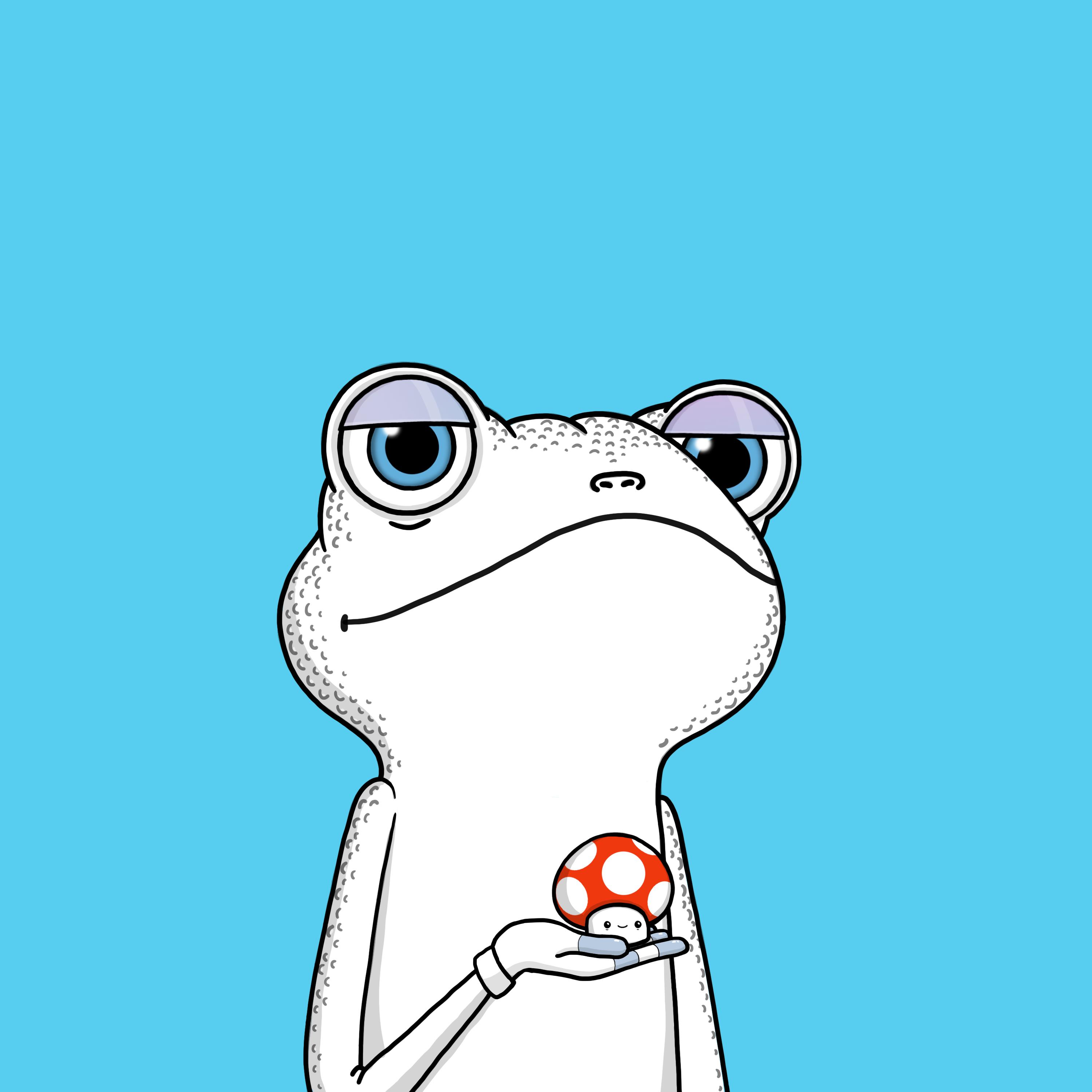 Zen Frogs