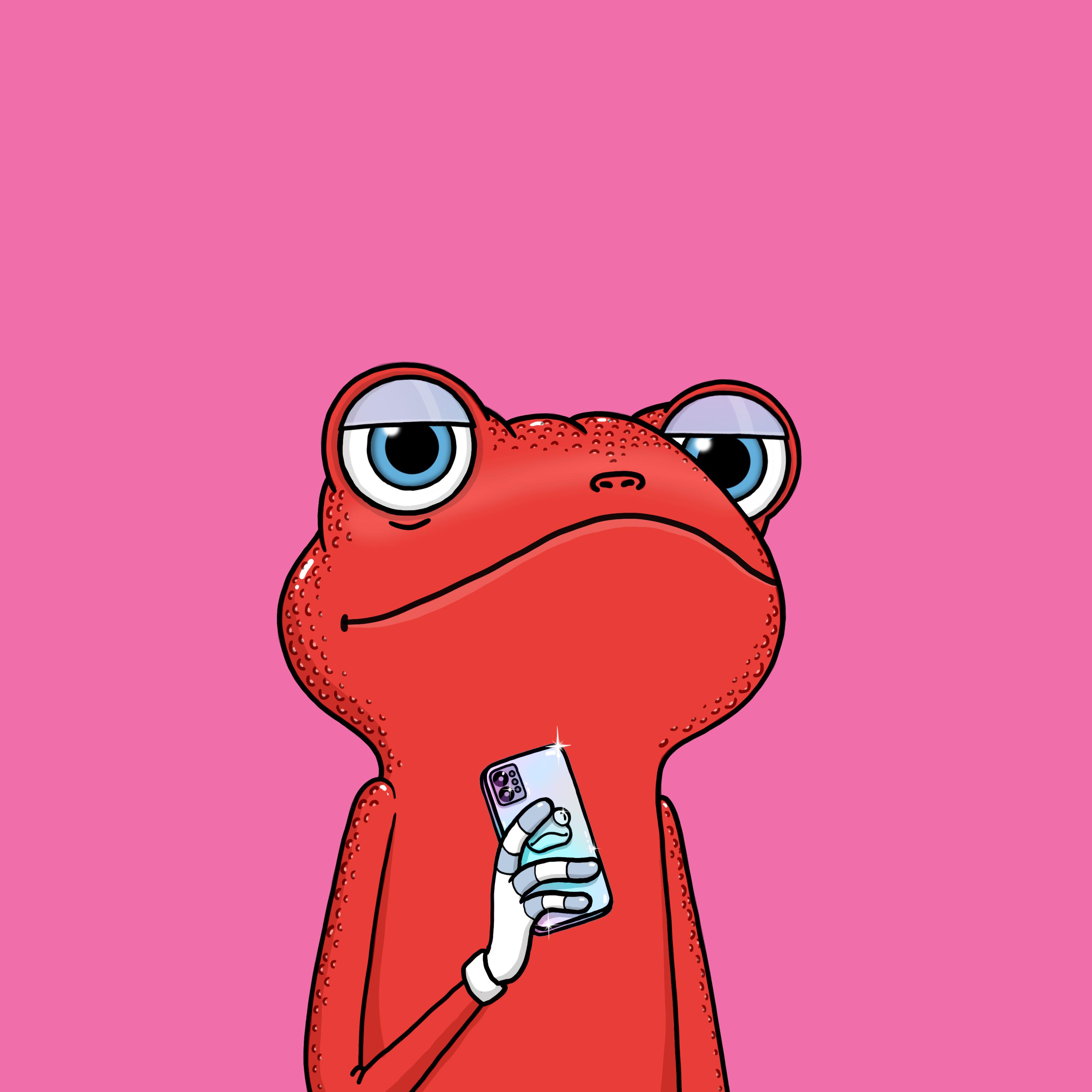 Zen Frogs
